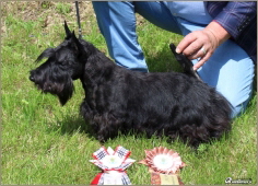 Lucy_JuCh_001 Lucy_JuCh_001