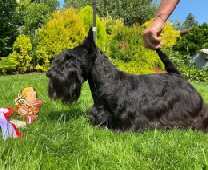 SD Emit Echo KfT Klubsieger