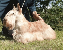 SP Magic Momemts BDS AT