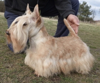 SP Magic Momemts HUCh