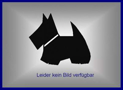 Leider kein Bild Leider kein Bild